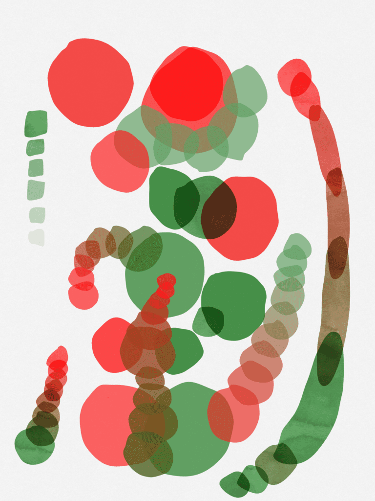 color theory complementary colors in action laura volopintesta
